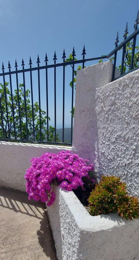 Villa Cortijo Blanco Albondon Exterior foto